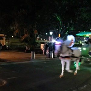 Meet your Posher, Dawn